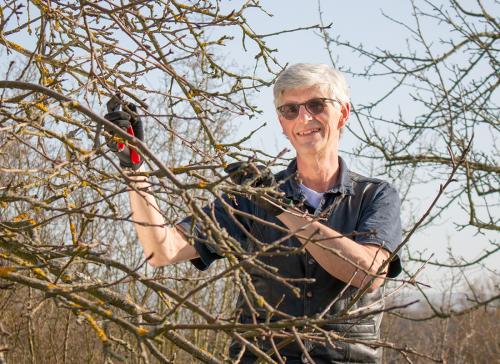 Landtagskandidat-Friedsam-Obstbäume-Artenvielfalt
